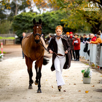 2026 Melbourne International 3 Day Event