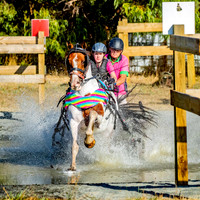 2023 GDCD CDE Show