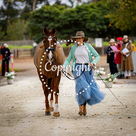 0B0A0562-132