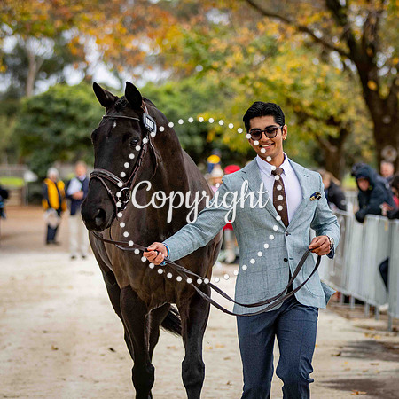 0B0A0635-170