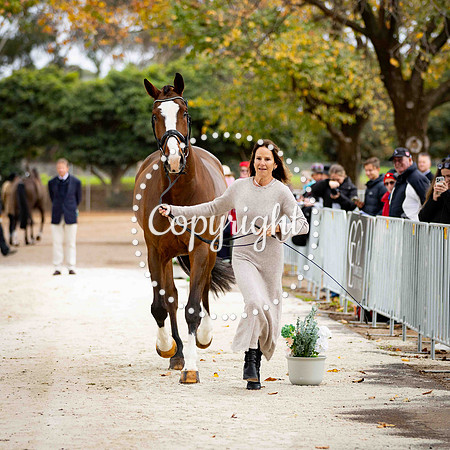 0B0A0864-264