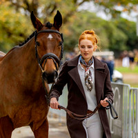 2 Star Junior (Trot Up) (Part 1) (All Photos Online)
