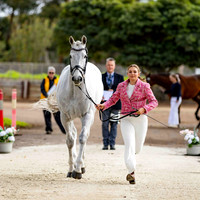 1 Star (Trot Up) (Part 1) (All Photos Online)