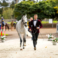 1 Star (Trot Up) (Part 2) (All Photos Online)