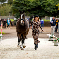 2 Star (Trot Up)(Part 1) (All Photos Online)