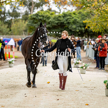 0B0A8459-17