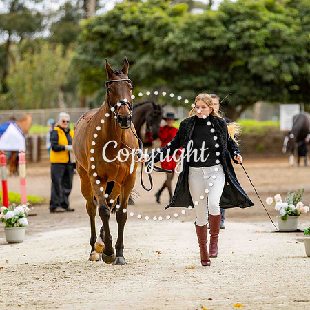 0B0A8476-23