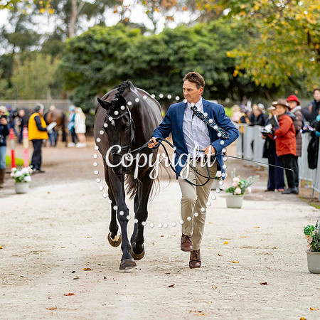 0B0A8698-104