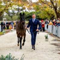 2 Star (Trot Up) (Part 2) (All Photos Online)