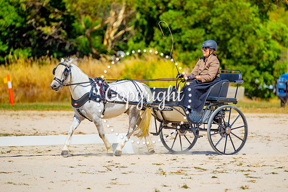 A72I9695