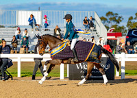 4 Star Presentation (All Photos Online)
