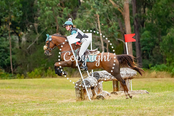 A72I9381-9