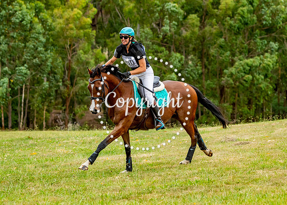 A72I9656-95