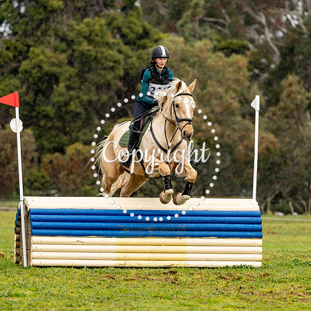 0B0A1195-2
