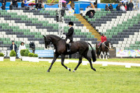 Rider 17 (Georgia Greenwell) (All Photos Online)