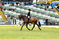 Rider 31 (Jessica Olinder) (All Photos Online)