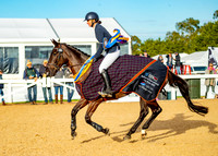 2023 Melbourne International 3 Day Event