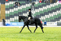 Rider 8 (Lisia Sturm) (All Photos Online)