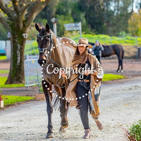A72I5390