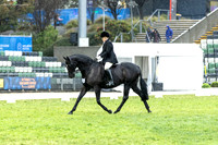 Rider 6 (Shannon Stevenson) (All Photos Online)