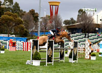 Group D Class (Photos Online)