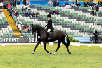 Rider 33 (Arabella Hooper) (All Photos Online)