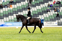 Rider (911) 36 (Caitlyn Fricker) (All Photos ONLINE)