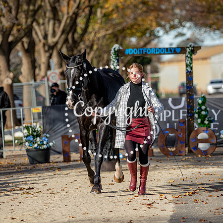 A72I7139-489