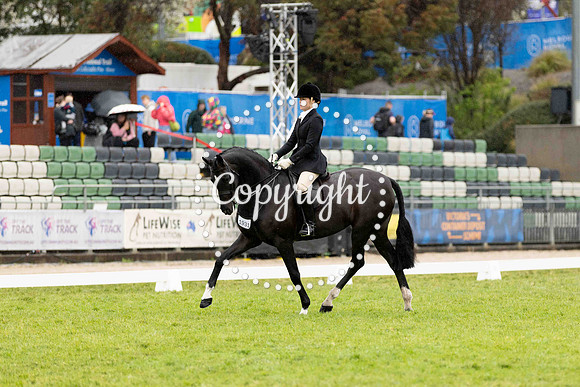 0B0A4512-26