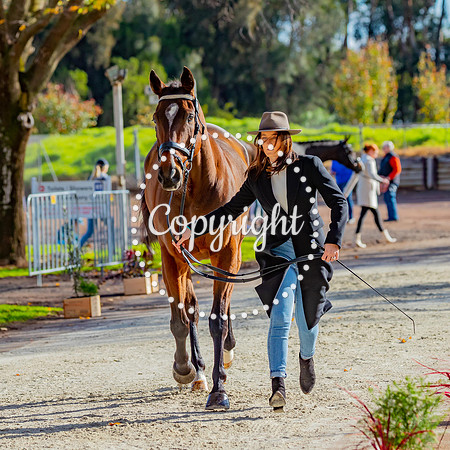 A72I4732
