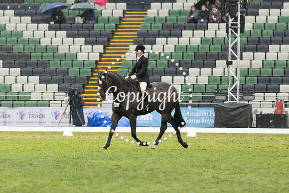 0B0A1997-14