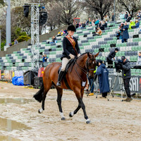 (Rider 15) Arielle Stella (All Photos Online)