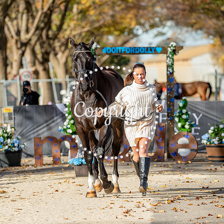A72I7241-538