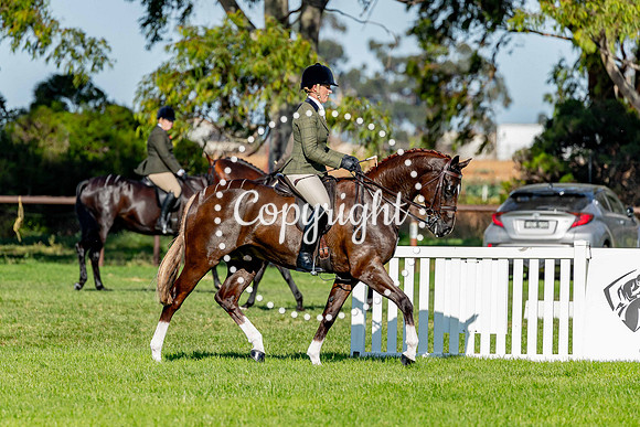 A72I4829