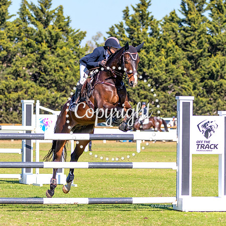 A72I0573 HRP