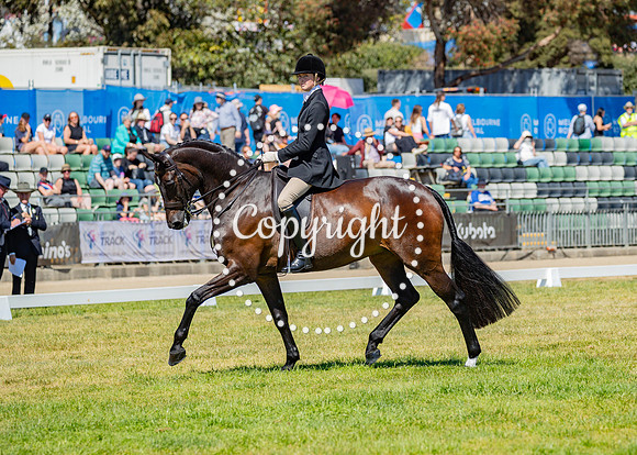 A72I3387