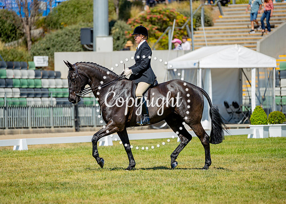 A72I2772
