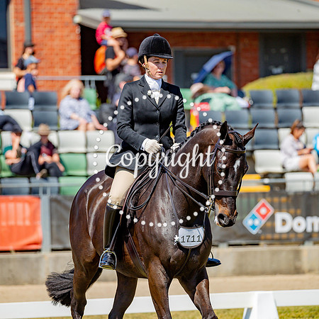 A72I3789