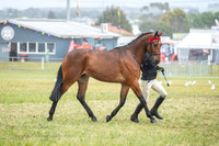 A72I0057
