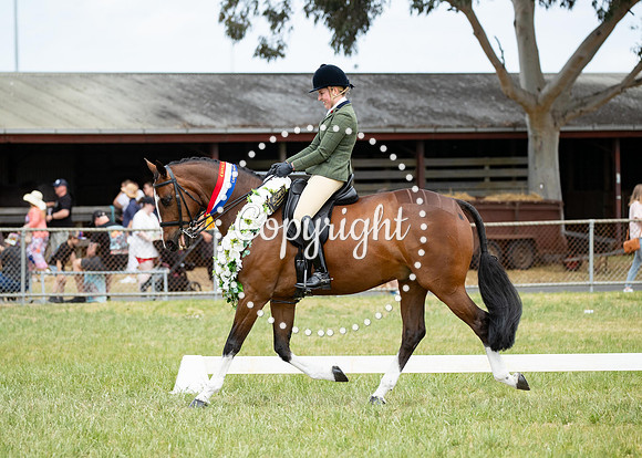 A72I6663