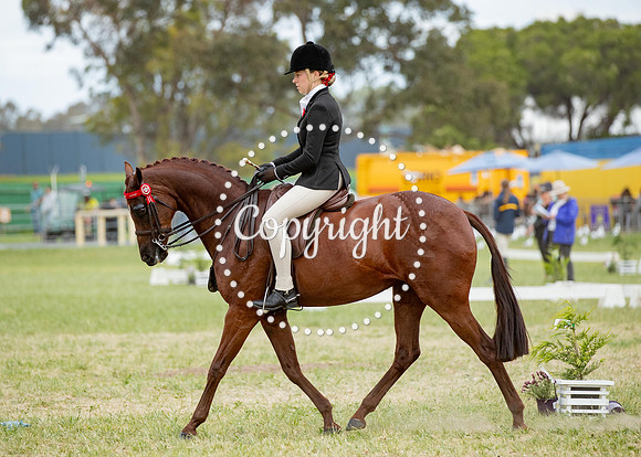 A72I7183