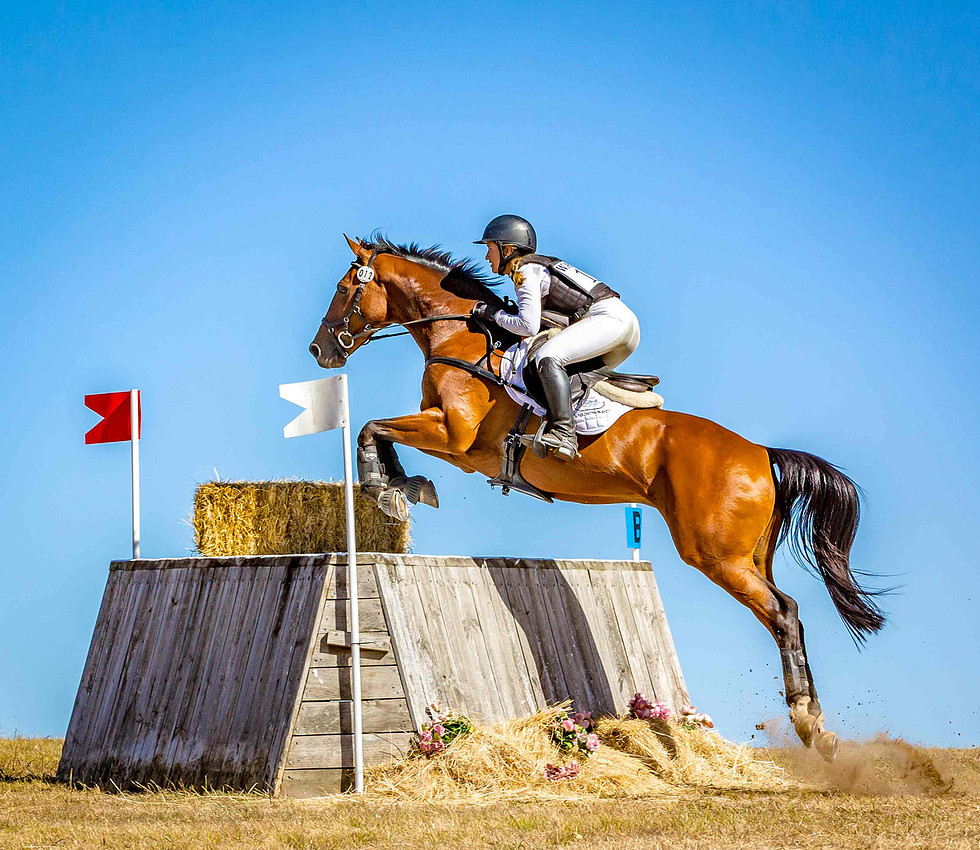Andrea Dunn Photography Equine/Sports/Action photography based in Geelong, Victoria, Australia. Photographer, Photography, Equine Photographer