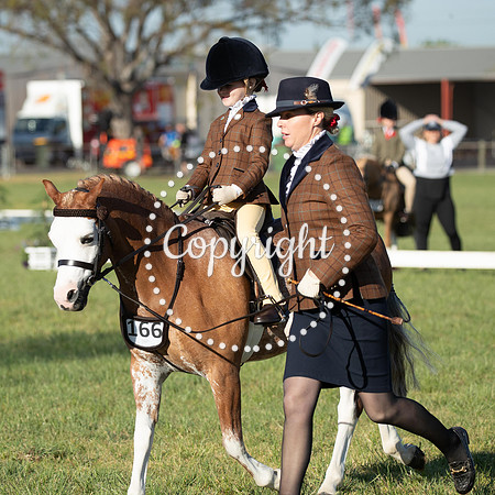 A72I8375