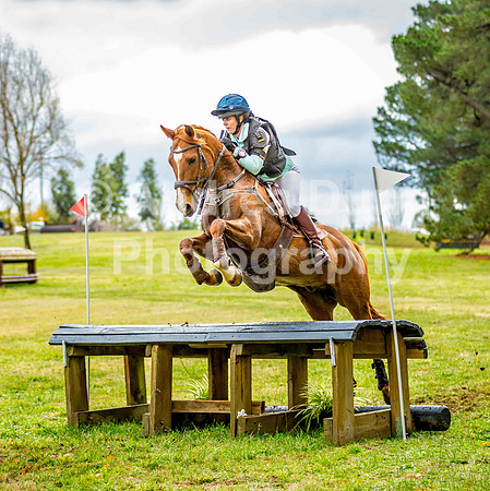 0H6A4773 P