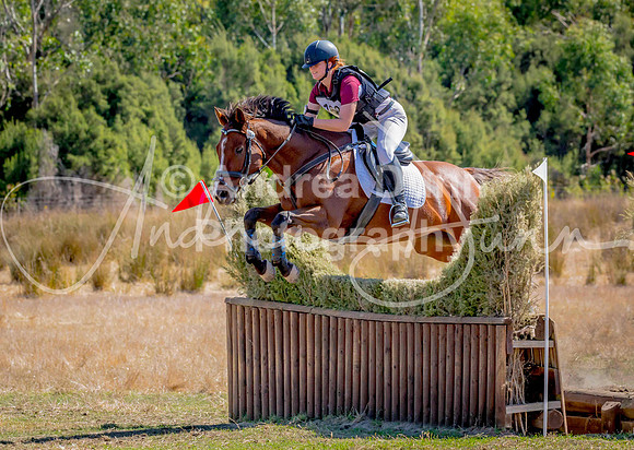 P 0H6A4066