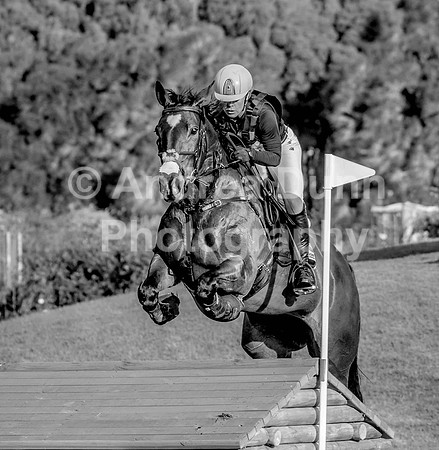 0H6A6308 P BW2