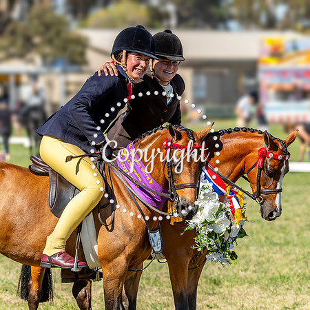A72I9461 Ch Res Saddle Pony