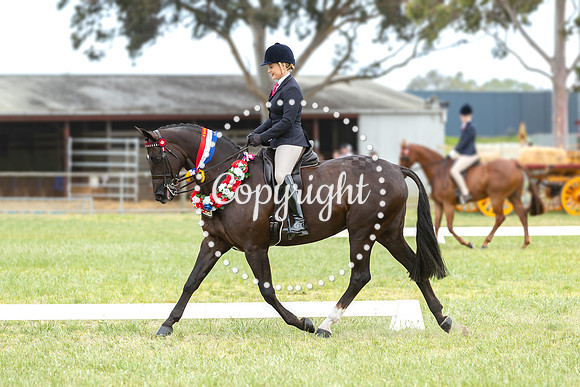A72I7022 Alexa Ward EBL Empower