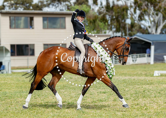 A72I8550 HRF (Macey Postill riding Paspaley Champ Rider 15-17.