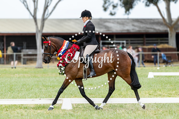 A72I6129 Maddi Tabak at MT Flirt
